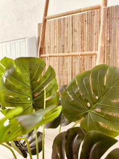 Amour l Romance l Chambre Secrète l Balnéo Massage - 5