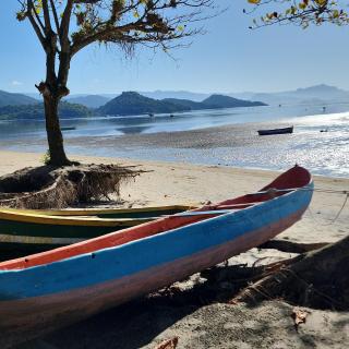 Canto do Jabaquara - 1