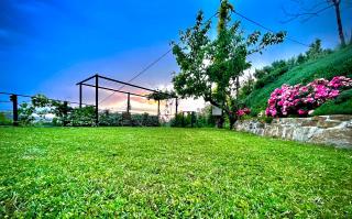 Hiša Olive Portorož - Olive House Portorož - 9