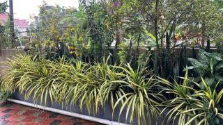 CITADEL HOLIDAY HOME - Vythiri - 6