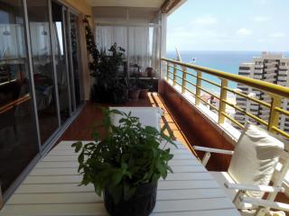 Apartamento Leo Playa de San Juan - Alicante - 8