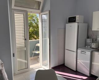 Tigar - Zadar - 8