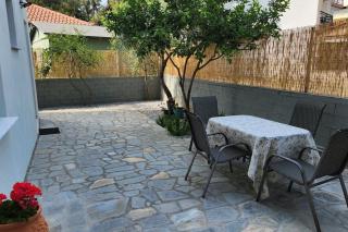 The Lemon Tree - Potos - 5
