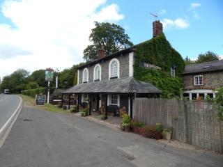 The Ivy House - 0