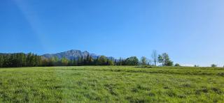 Marol Wynajem Pokoi - 4