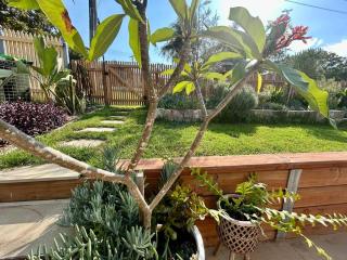 Little Banksia - Sawtell - 7