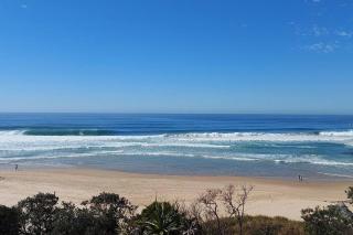 Little Banksia - Sawtell - 5