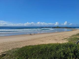 Little Banksia - Sawtell - 2