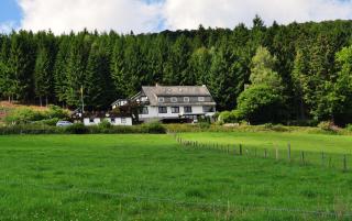 Haus Hubertus - Willingen - 0