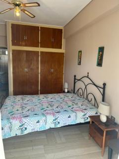 Miliotis Estate - Poros - 8