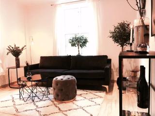 Mezzanine apartment design furnished & 3m2 for city center - Copenaghen - 0