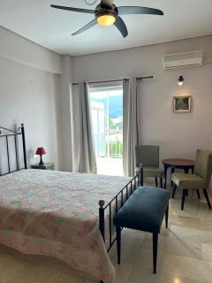 Miliotis Estate - Poros - 9