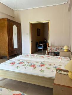 Miliotis Estate - Poros - 4