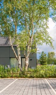 Apartament w willi z ogrodem SurfingBird Dźwirzyno - Dźwirzyno - 0