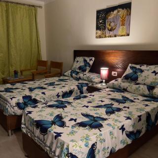 قريه اكوا فيو الساحل الشمالى-Aqua View North Coast - Al Qaşabah ash Sharqīyah - 5