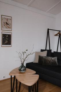 Apartament Zdrojowy - Muszyna - 2