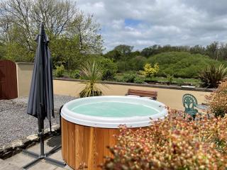 2 Bed in Clynderwen 82445 - 8