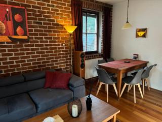 Apartmán Bílé Labe v centru města Špindlerův Mlýn - Špindlerův Mlýn - 9