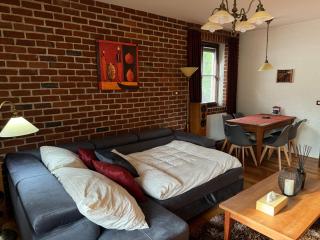 Apartmán Bílé Labe v centru města Špindlerův Mlýn - Špindlerův Mlýn - 6