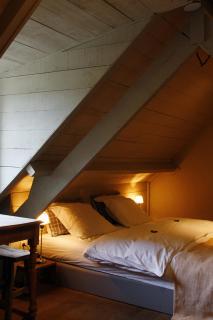 B&B Hoeve de Steenoven - Damme - 8