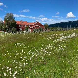 Millestgården Eco lodge - Duved - 9