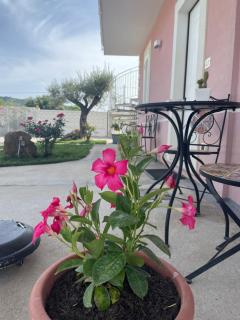 Home Fiori d’Angelo - Agropoli - 2