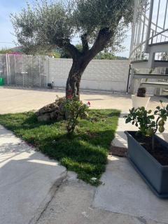 Home Fiori d’Angelo - Agropoli - 3
