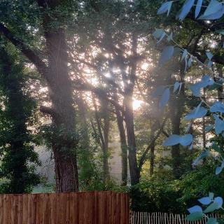 Maison Mandavi, studio d'hôtes dans l'Entre deux mers - 9