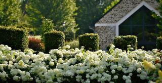 Domaine Albizia - Livry - 9