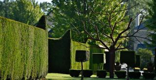 Domaine Albizia - Livry - 2