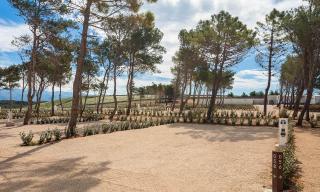 Aminess Style Camping Avalona Resort - Pitches - Povljana - 9