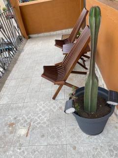 Casa Churubusco 15 min de coyoacan - Città del Messico - 6