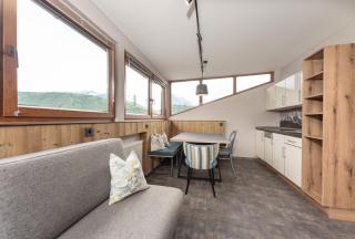 Appartements Erzherzog Johann - Schladming - 3