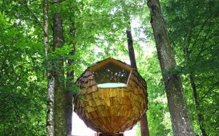 T'glamp Bee house - Rovte - 3
