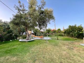 Villa Georgia - Kastrosikia - 2