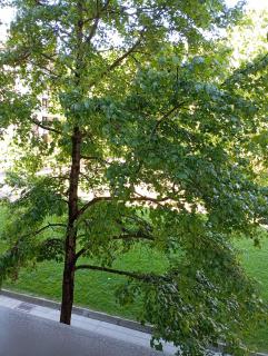 Coqueto Apartamento 01A - 7