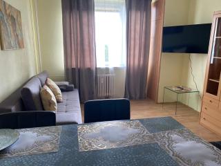 Apartmány 2kk u Fakultní nemocnice Volné parkovaní - Hradec Králové - 7