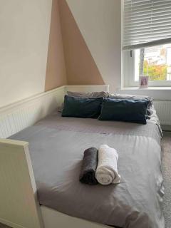 Stones throw from Millennium stadium & city centre - Cardiff - 3