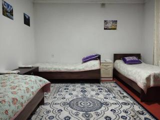 Karakol River Guesthouse - Karakol - 1