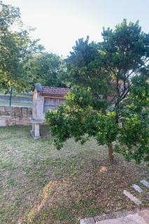 Casa 1921 - - 6
