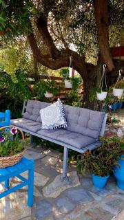Housebutterfly - Torone - 5