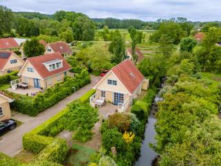 Schoorlse Duinvoet - Schoorl - 5