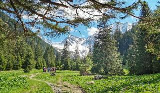 Pastravaria popas sambata - 4