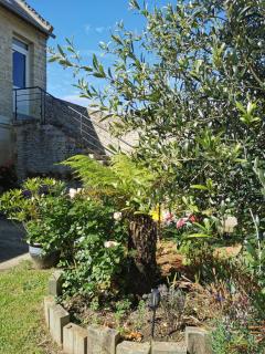 Grenier de l, IRIS - Sainte-Croix-sur-Mer - 1