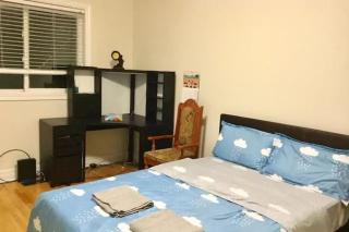 Private Rooms, Free Parking, Full Kitchen, Best Prices in Town- York University Heights - 7