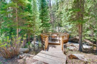 Riverside Colorado Cabin with Deck and Hot Tub - Dumont - 7