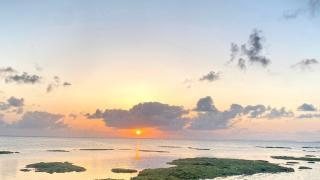 Nashiro White Cube - 5