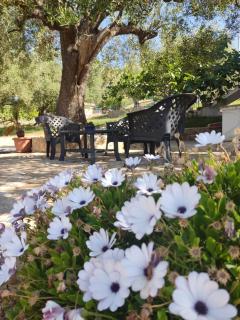Ad Agros Logement - Marina di Camerota - 3