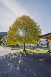 Romantik Chalet - 2