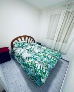 Apartamento Carolinas - Alicante - 2